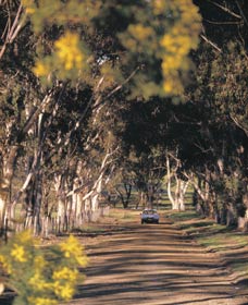 Wickepin ACT Accommodation in Bendigo
