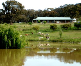 Clearview Alpacas - Accommodation in Bendigo 0