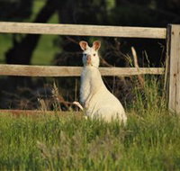 Panorama Garden Estate - Accommodation in Bendigo