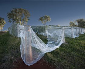 Toppers Mountain Wines - Accommodation in Bendigo 0