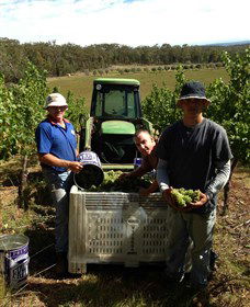 Toppers Mountain Wines - Accommodation in Bendigo 2