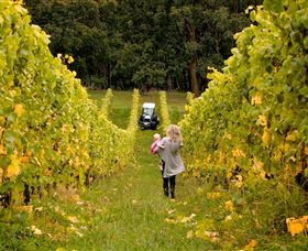 Polperro Winery - Accommodation in Bendigo 7