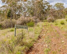Old Mountain Road Walking Track - Accommodation in Bendigo 0