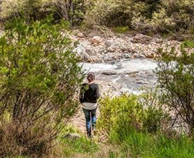 Old Mountain Road Walking Track - Accommodation in Bendigo 1