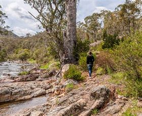 Old Mountain Road Walking Track - Accommodation in Bendigo 2