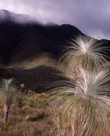 Bluff Knoll, Stirling Range National Park - Accommodation in Bendigo 3