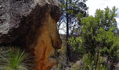 Torrington State Conservation Area - Accommodation in Bendigo 1