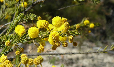 Torrington State Conservation Area - Accommodation in Bendigo 3