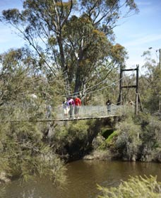 Avon Park - Accommodation in Bendigo 0
