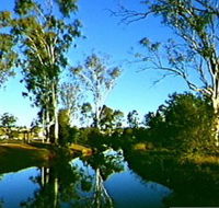 Dingo Creek Park - Accommodation in Bendigo