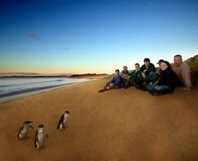 Phillip Island Nature Parks - Accommodation in Bendigo 7