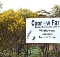Coorow Farm Wildflower Trail - Accommodation in Bendigo