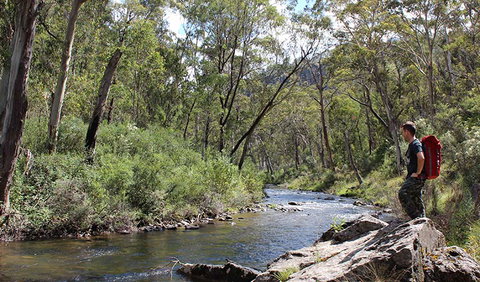Yarrangobilly Caves - Accommodation in Bendigo 1