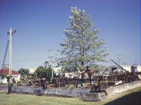 Clifton Historical Museum - Accommodation in Bendigo 1