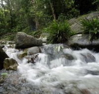 Washpool National Park - Accommodation in Bendigo