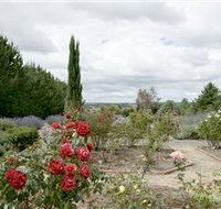 Crystal Brook Lavender Farm - Accommodation in Bendigo