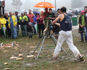 Lockyers Road Walking Track - Accommodation in Bendigo 0