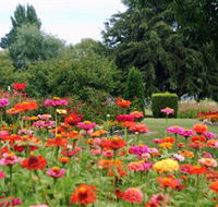 Alma Park - Accommodation in Bendigo