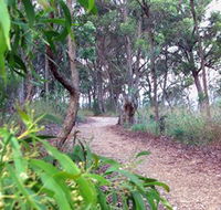 Mount Mutton Walking Trail - Accommodation in Bendigo
