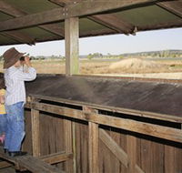 Dangars Lagoon and Racecourse Lagoon - Accommodation in Bendigo