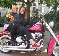 Wild Ride Harley and Motorcycle Tours - Accommodation in Bendigo