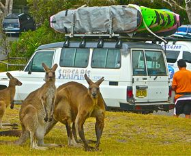 Surfaris Surf Camp - Accommodation in Bendigo 3