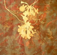 Fellia Melas Gallery - Accommodation in Bendigo