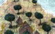 Frances Keevil Gallery - thumb 2