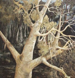 Eschol Park NSW Accommodation in Bendigo