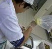 Fremantle Chocolate Pty ltd - Accommodation in Bendigo