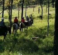 Hunter Valley Horse Riding and Adventures - Accommodation in Bendigo