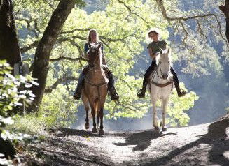 Hunter Valley Horse Riding And Adventures - Accommodation in Bendigo 1