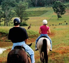 Hunter Valley Horse Riding And Adventures - Accommodation in Bendigo 3