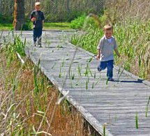 Hunter Wetlands Centre Australia - Accommodation in Bendigo 1