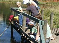 Hunter Wetlands Centre Australia - Accommodation in Bendigo 2