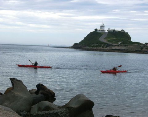 Newcastle Kayak Tours - Accommodation in Bendigo 0