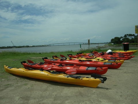 Newcastle Kayak Tours - Accommodation in Bendigo 2