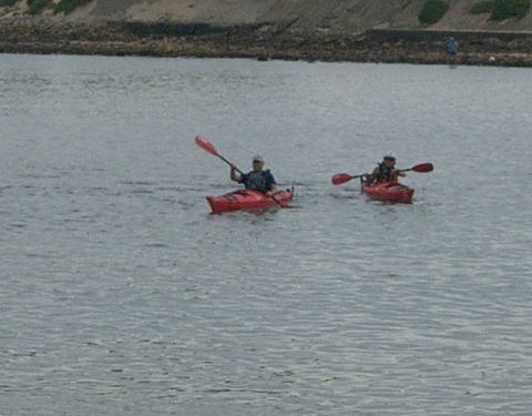 Newcastle Kayak Tours - Accommodation in Bendigo 4