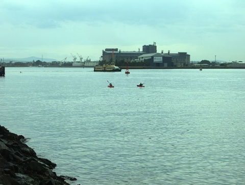 Newcastle Kayak Tours - Accommodation in Bendigo 5