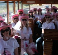 Newcastles Famous Tram - Accommodation in Bendigo