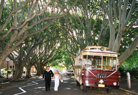 Newcastles Famous Tram - Accommodation in Bendigo 2