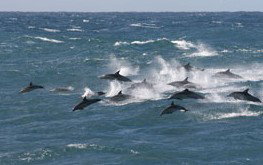  Accommodation in Bendigo