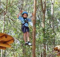 TreeTops Newcastle - Accommodation in Bendigo