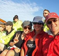 Byron Bay Whale Watching - Accommodation in Bendigo