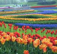 Botanica World Discoveries - Accommodation in Bendigo