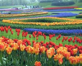 Botanica World Discoveries - Accommodation in Bendigo 0