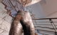 Mosman Art Gallery - thumb 3
