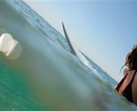 Manly Surf Guide - Accommodation in Bendigo 1