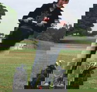 Segway Tours Australia - Accommodation in Bendigo