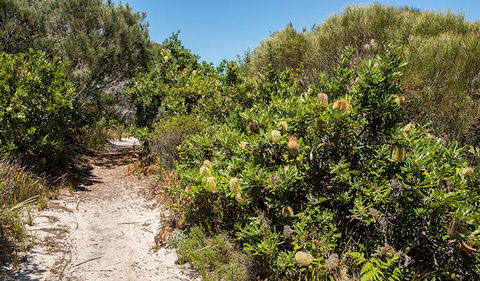 Henry Head Walking Track - Accommodation in Bendigo 0